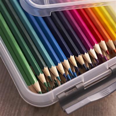 0c590789-bc99-4d02-b0fb-1be67571de20-afbeelding4.jpg (3765871)