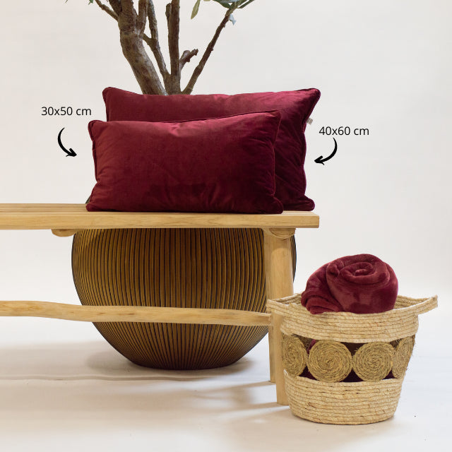 5408edcd-57a1-4301-b18b-8f06def30ea2-afbeelding3.jpg (3768083)