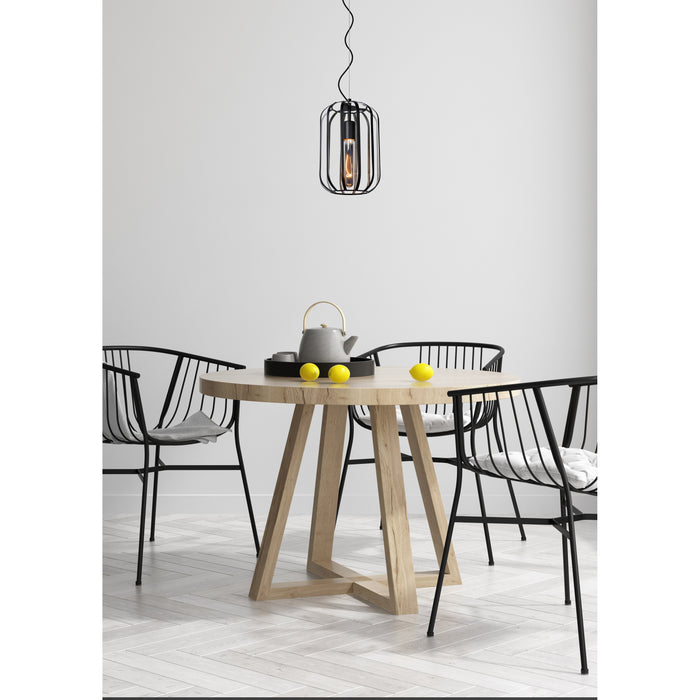 Lucide FERN Hanglamp - Zwart