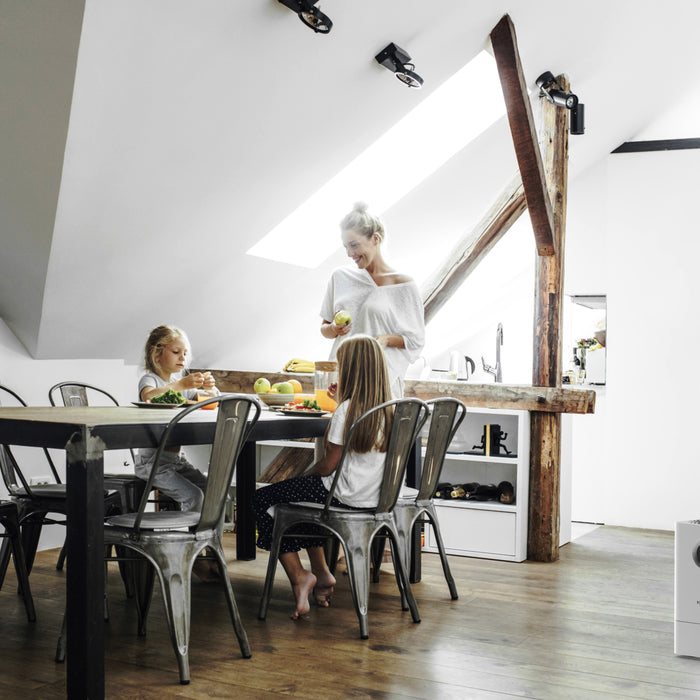 Boneco W300 Luchtwasser (Reiniger + Bevochtiger)