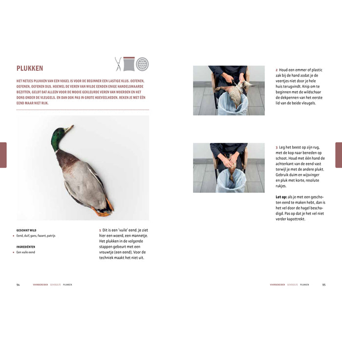 Peter Klosse - Wildbijbel