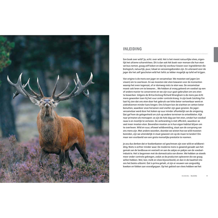 Peter Klosse - Wildbijbel