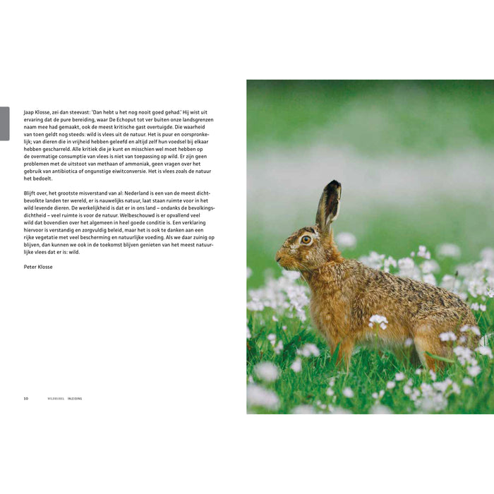 Peter Klosse - Wildbijbel