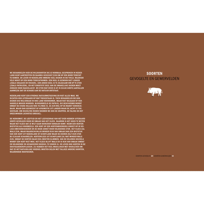 Peter Klosse - Wildbijbel