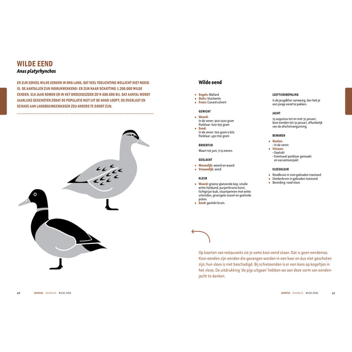 Peter Klosse - Wildbijbel