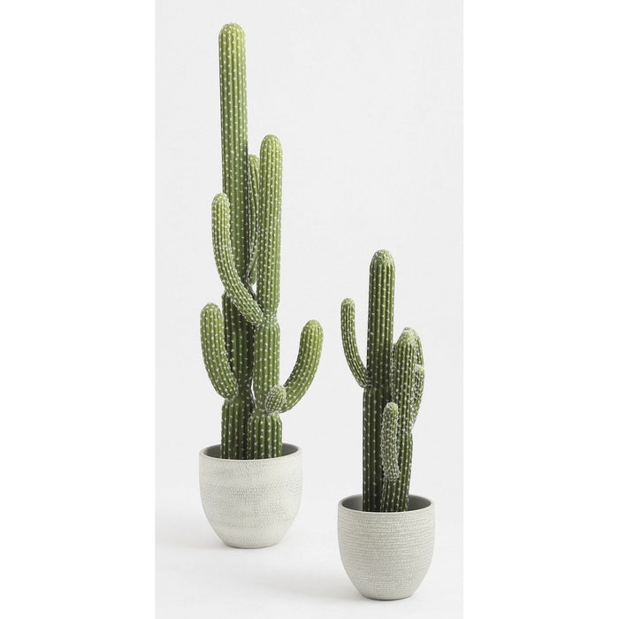 fae58724-6ea0-41e9-8a15-4ea3ba003297-sfeerbeeld.jpg (3790523)