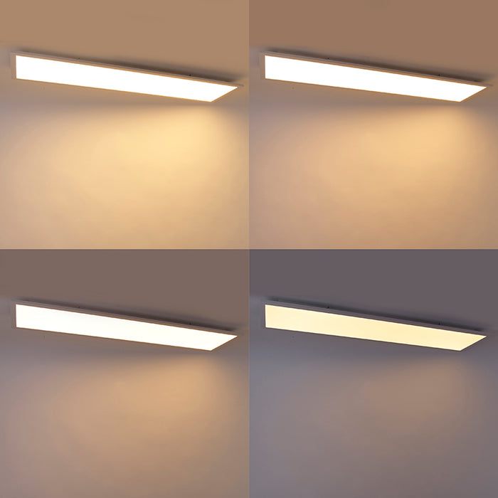 e438ab4d-21ff-4516-9c60-fd570f0c22c2-afbeelding11.jpg (3796191)