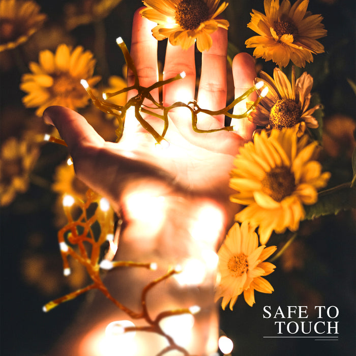 Aigostar LED Lichtsnoer 4,5W 250 LEDs 10m Warm wit IP44