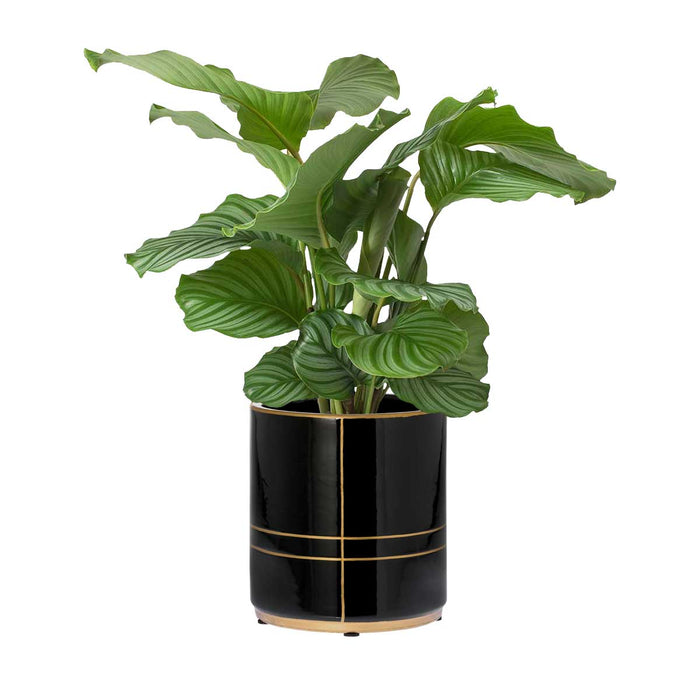 RIVERDALE - Bloempot Suus - H22cm - zwart