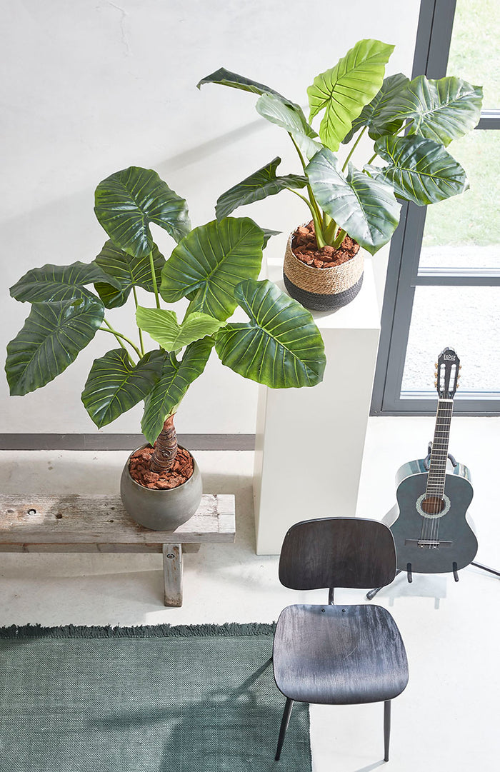 Mica Decorations Taro Kunstplant - H100 x Ø70 cm - Groen