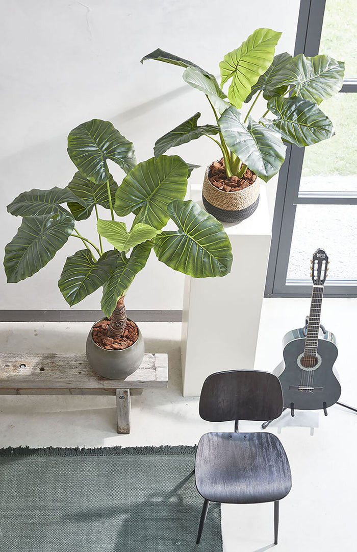Mica Decorations Taro Kunstplant - H100 x Ø70 cm - Groen