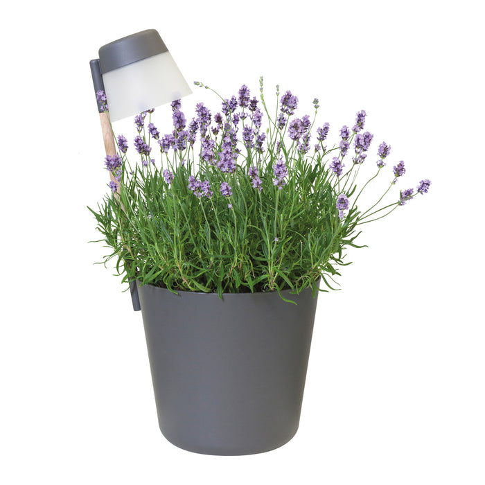 Elho Flower Light Bloempot