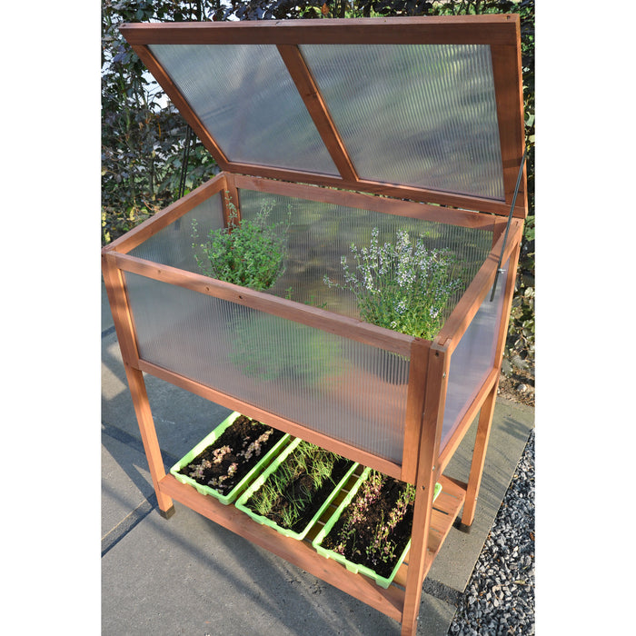 Royal Well Red Leaf Broeikas