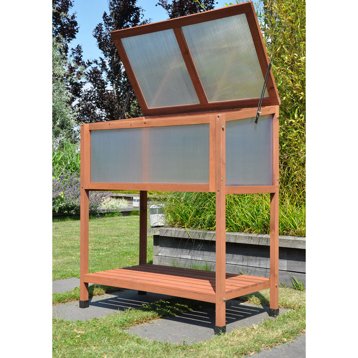 Royal Well Red Leaf Broeikas