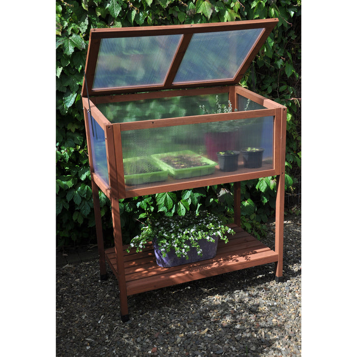 Royal Well Red Leaf Broeikas