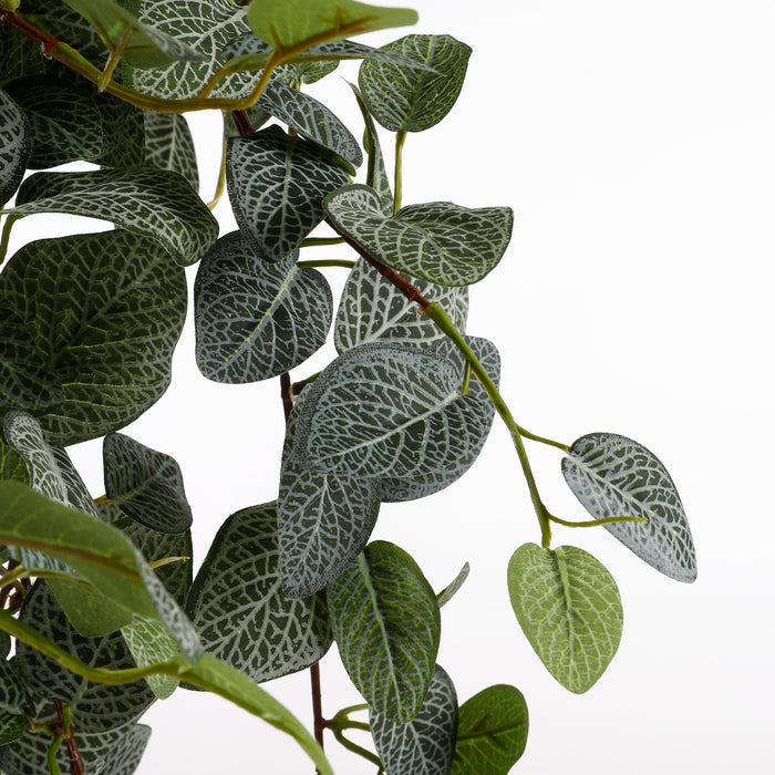 Mica Decorations Pilea Kunst Hangplant - L20 x B30 x H70 cm - Groen