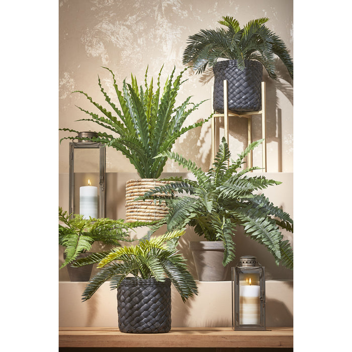 Mica Decorations Cycas Palm Kunstplant - H37 x Ø44 cm - Groen