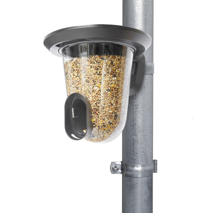 SingingFriend feedR Vogelvoeder