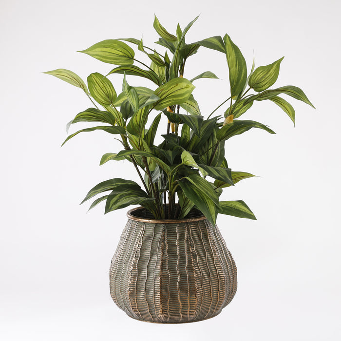 Mica Decorations Hosta Kunstplant - H65 x Ø40 cm - Groen