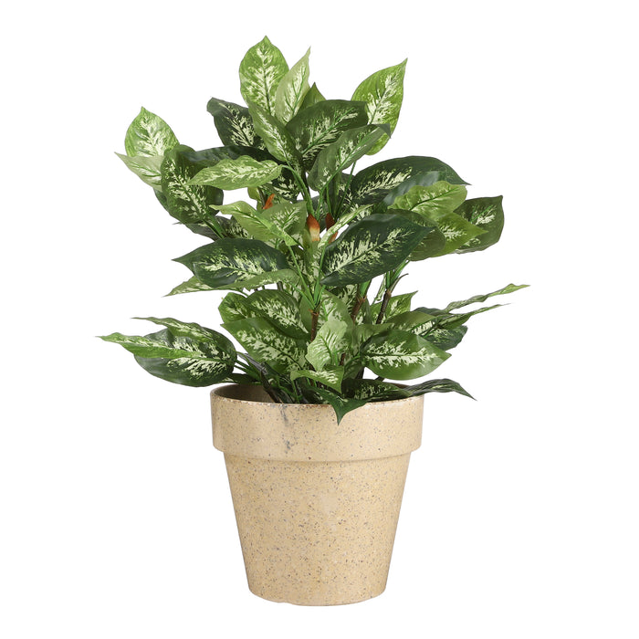 Mica Decorations Dieffenbachia Kunstplant - H70 x Ø55 cm - Groen