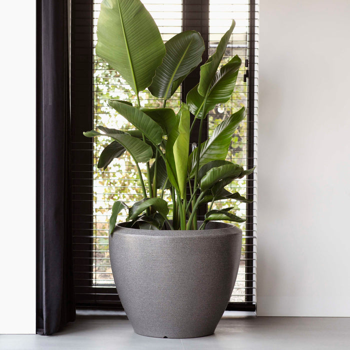 Capi Europe Arc Granite Bloempot Ø 60 cm - Antraciet