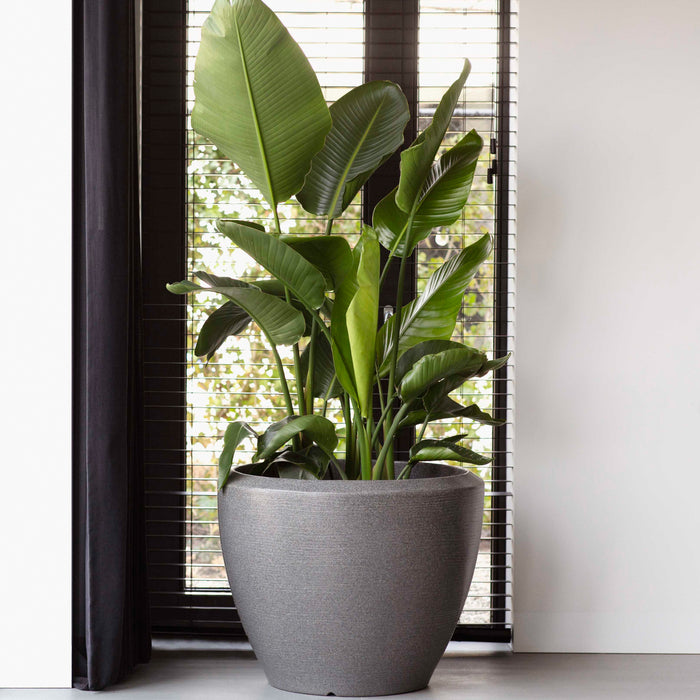 Capi Europe Arc Granite Bloempot Ø 75 cm - Antraciet
