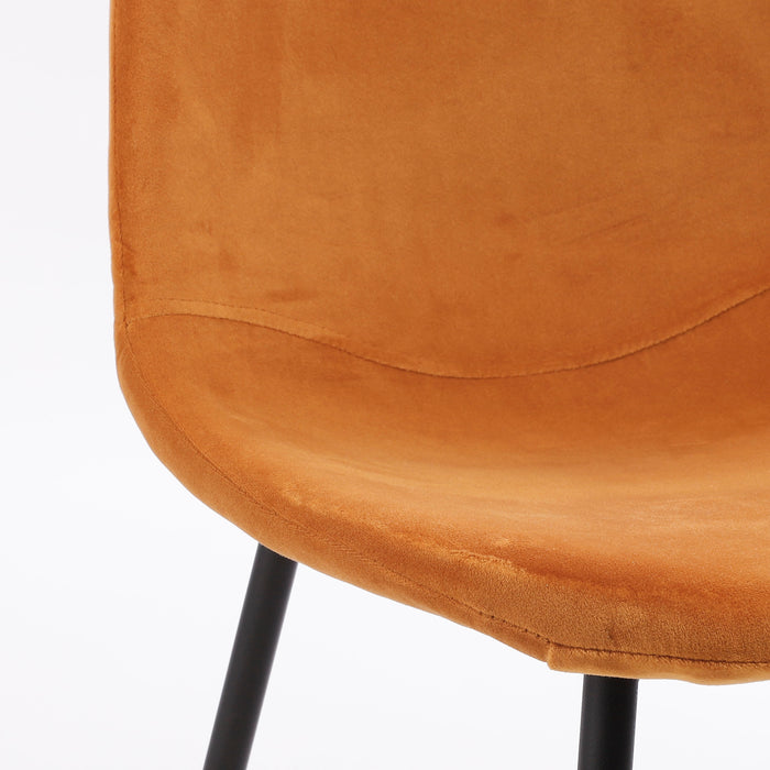 308979-x04.jpg (3954152)