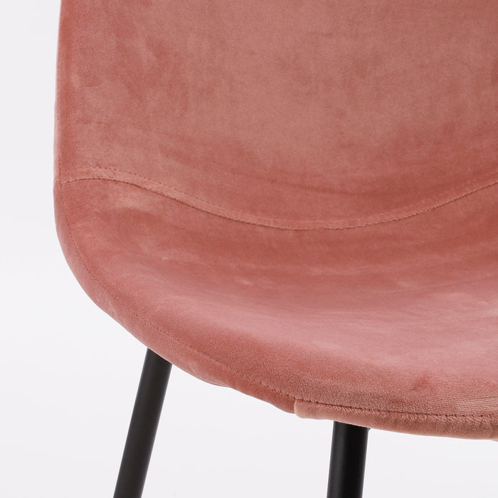 308981-x04.jpg (3959657)