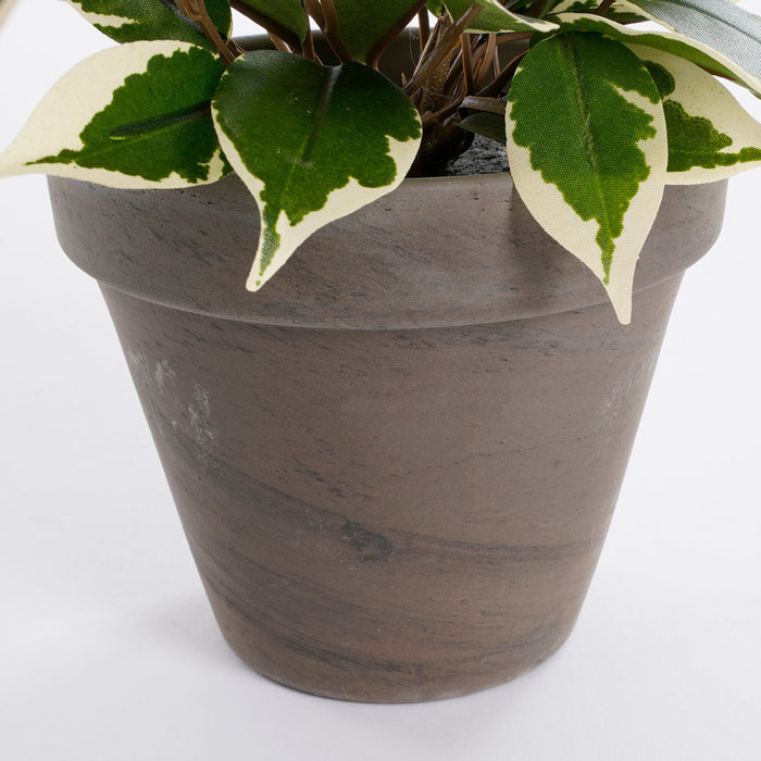 Mica Decorations Ficus Natasja Kunstplant - H40 cm - Groen Bont