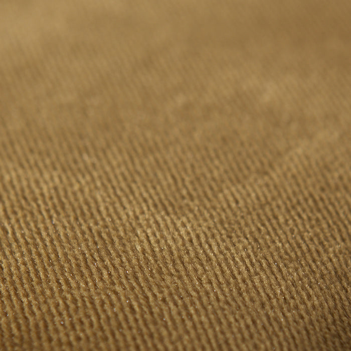 245983-x02.jpg (3962617)