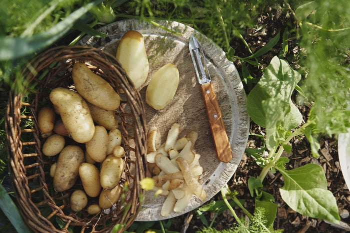 Opinel Les Essentiels Olivier Keukenset - 4-delig - Olijfhout