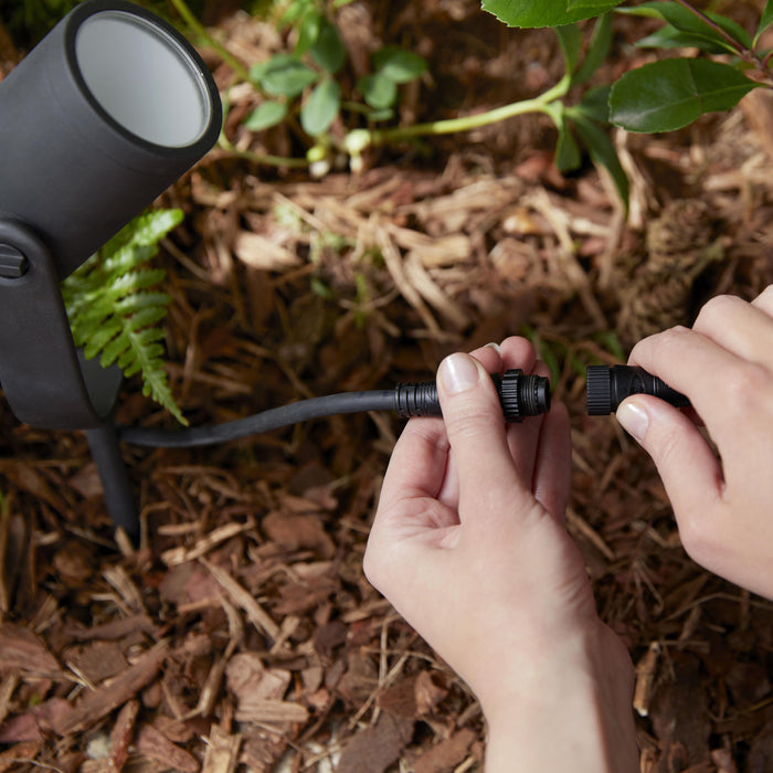 Philips Hue White & Color Ambiance Lily Spot 24V - incl. stroomadapter