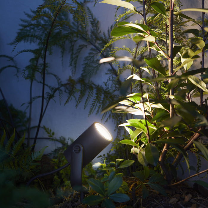 Philips Hue White & Color Ambiance Lily Spot 24V - incl. stroomadapter