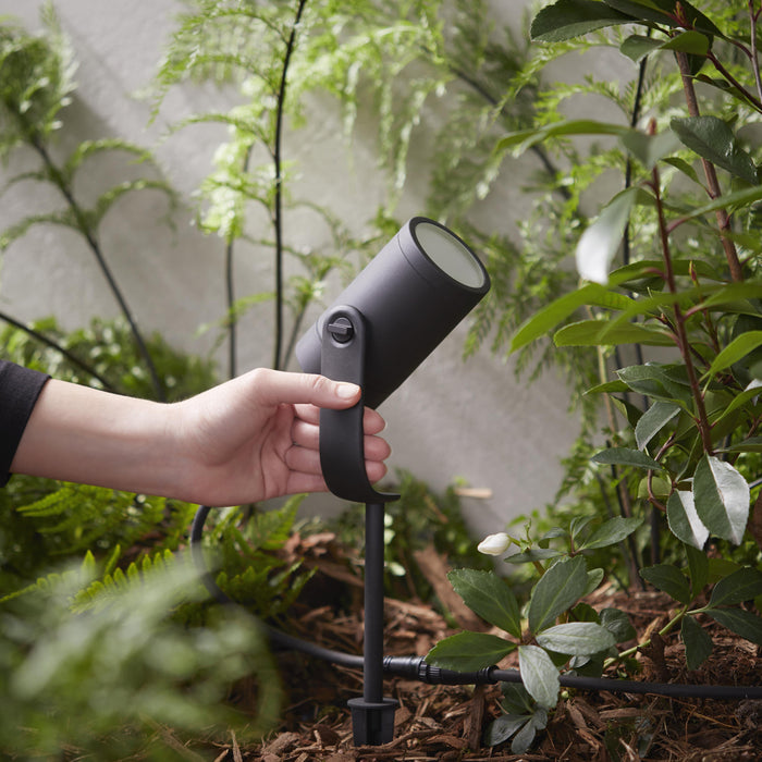 Philips Hue White & Color Ambiance Lily Spot 24V - incl. stroomadapter