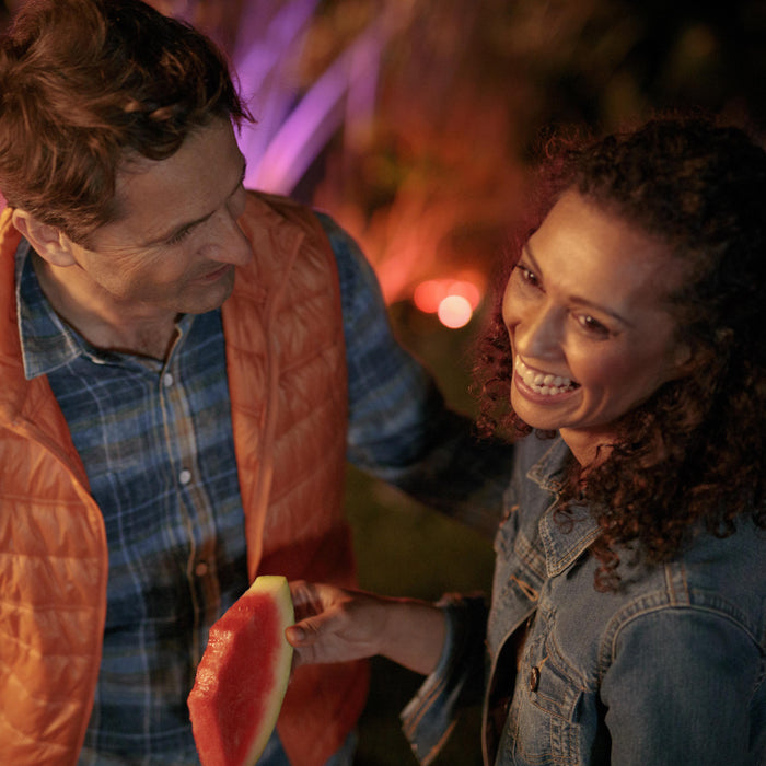 Philips Hue White & Color Ambiance Lily Spot 24V - incl. stroomadapter