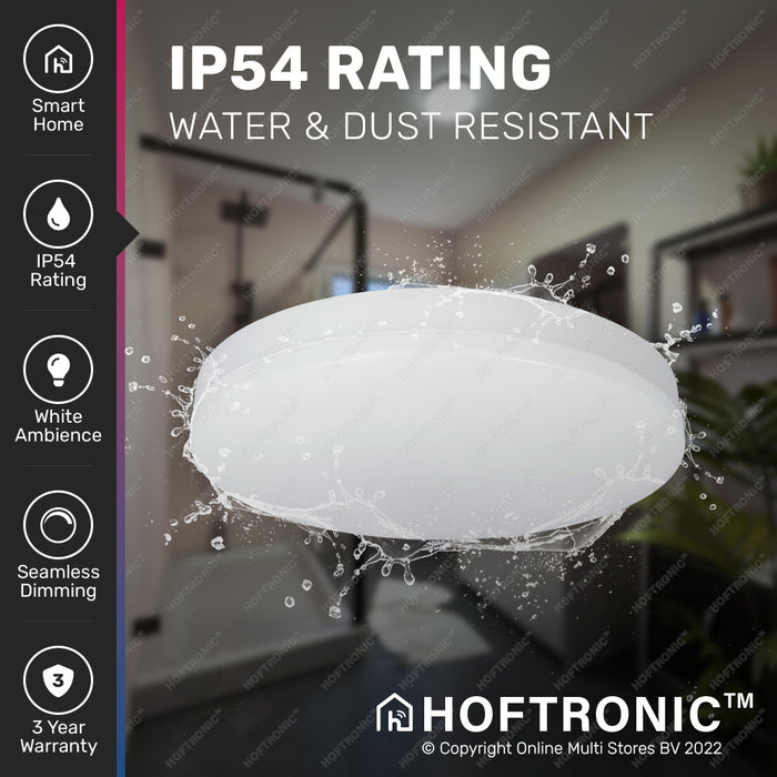 8d576835-840c-4b13-a410-643871eee456-afbeelding5.jpg (3975984)