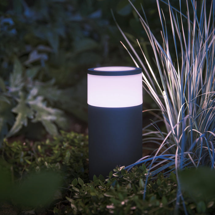 Philips Hue White & Color Ambiance Calla Sokkel 24V - excl. stroomadapter