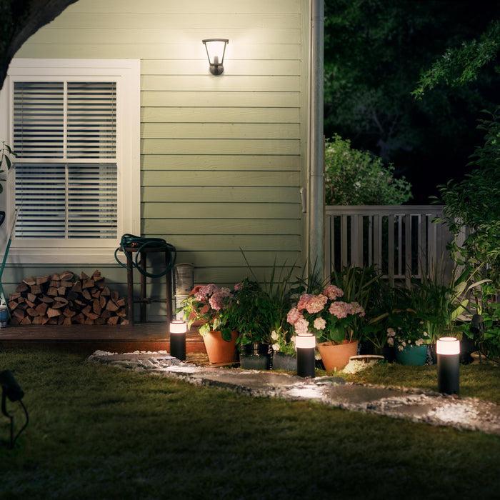 Philips Hue White & Color Ambiance Calla Sokkel 24V - excl. stroomadapter