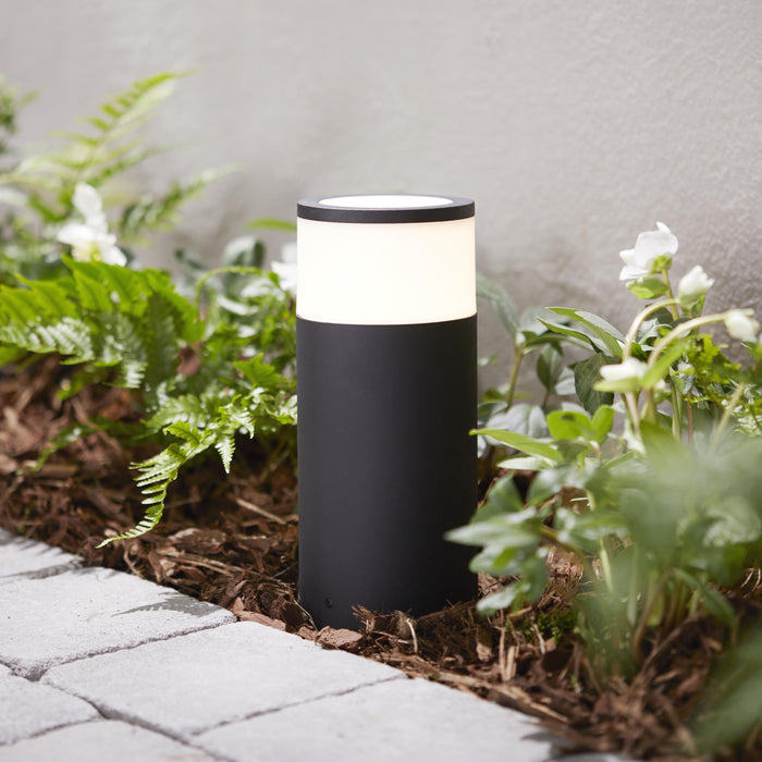 Philips Hue White & Color Ambiance Calla Sokkel 24V - excl. stroomadapter