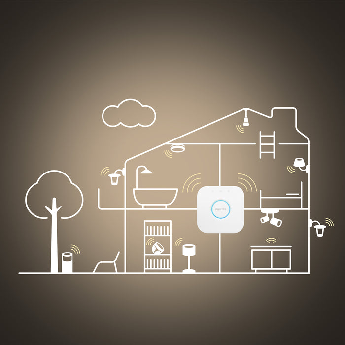 5b12ea71-bbc0-4d24-a581-c02177ab0746-afbeelding4.jpg (3978366)