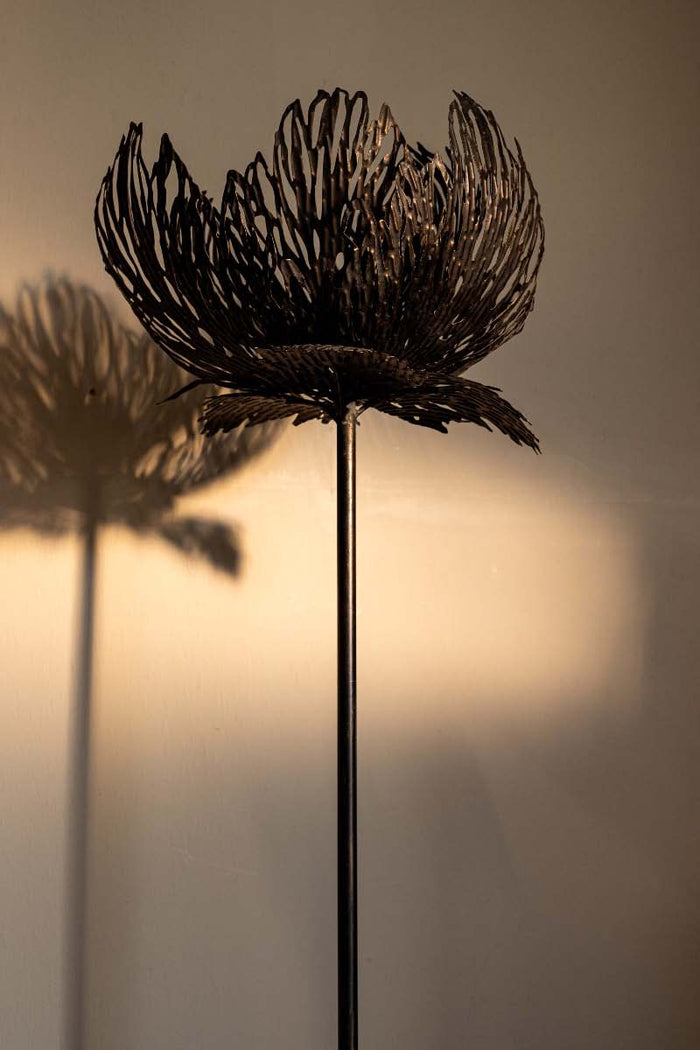 6467c575-9524-470a-9a1c-d652bb9efd55-afbeelding3.jpg (3986644)