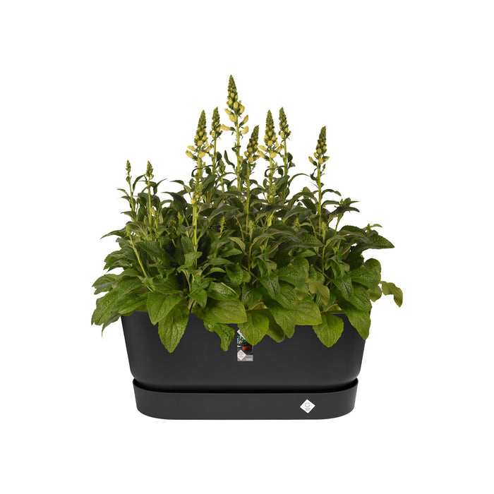 elho Greenville Bloembak 80 cm Zwart