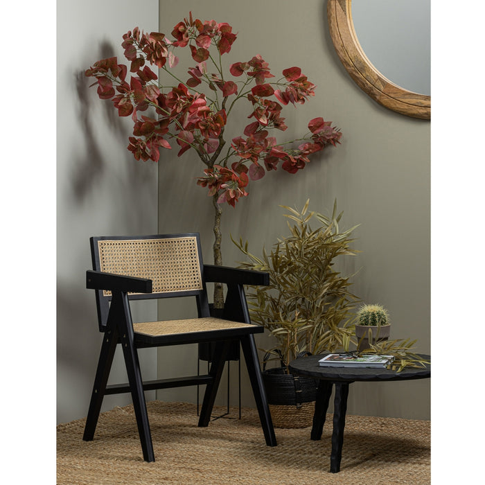 040d11ec-5871-4e67-9326-e0bf41a4981e-afbeelding3.jpg (4003933)