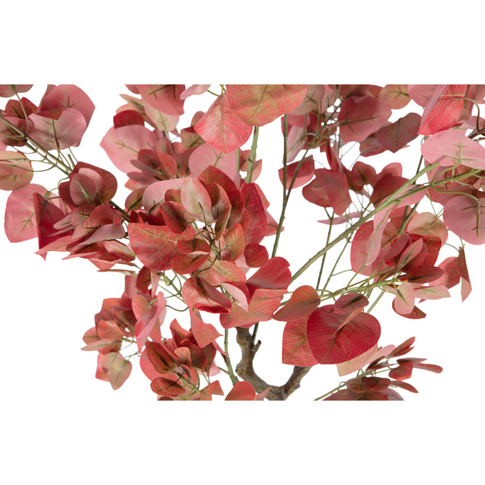 040d11ec-5871-4e67-9326-e0bf41a4981e-afbeelding5.jpg (4003935)