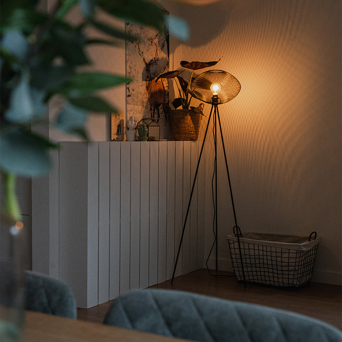 f1427b09-8fbc-42dc-bf0e-4696b61cc65a-afbeelding3.jpg (4006124)