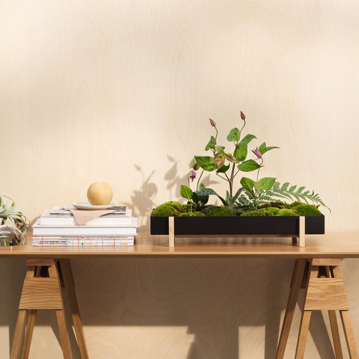 Design House Stockholm Botanic Kruidenbox