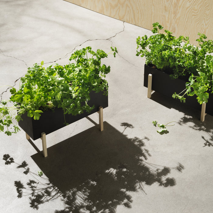 Design House Stockholm Botanic Kruidenbox