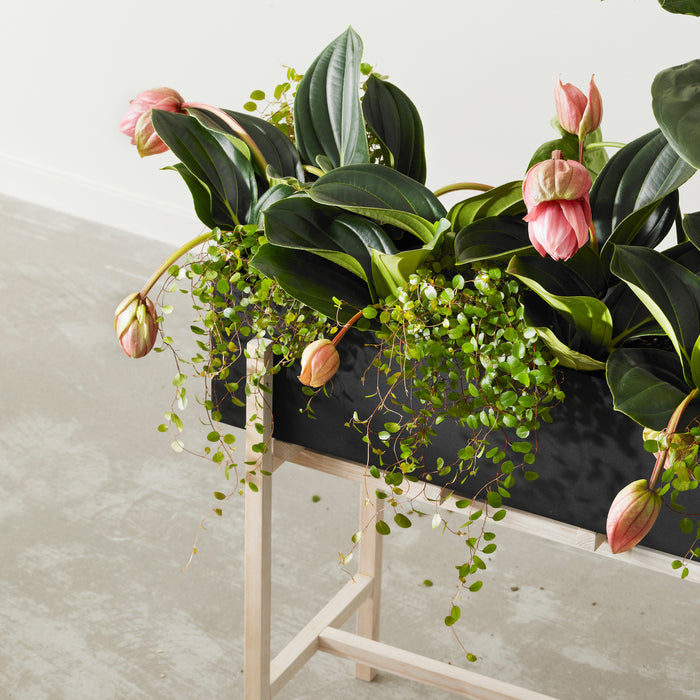 Design House Stockholm Botanic Plantenbox