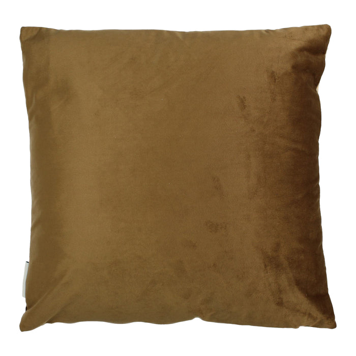 298007-x01.jpg (4025424)