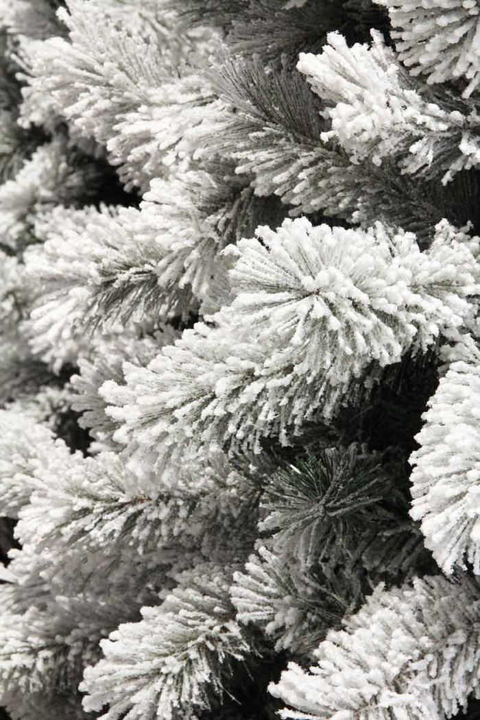 Black Box medford kerstboom groen frosted tips 710 maat in cm: 215x114